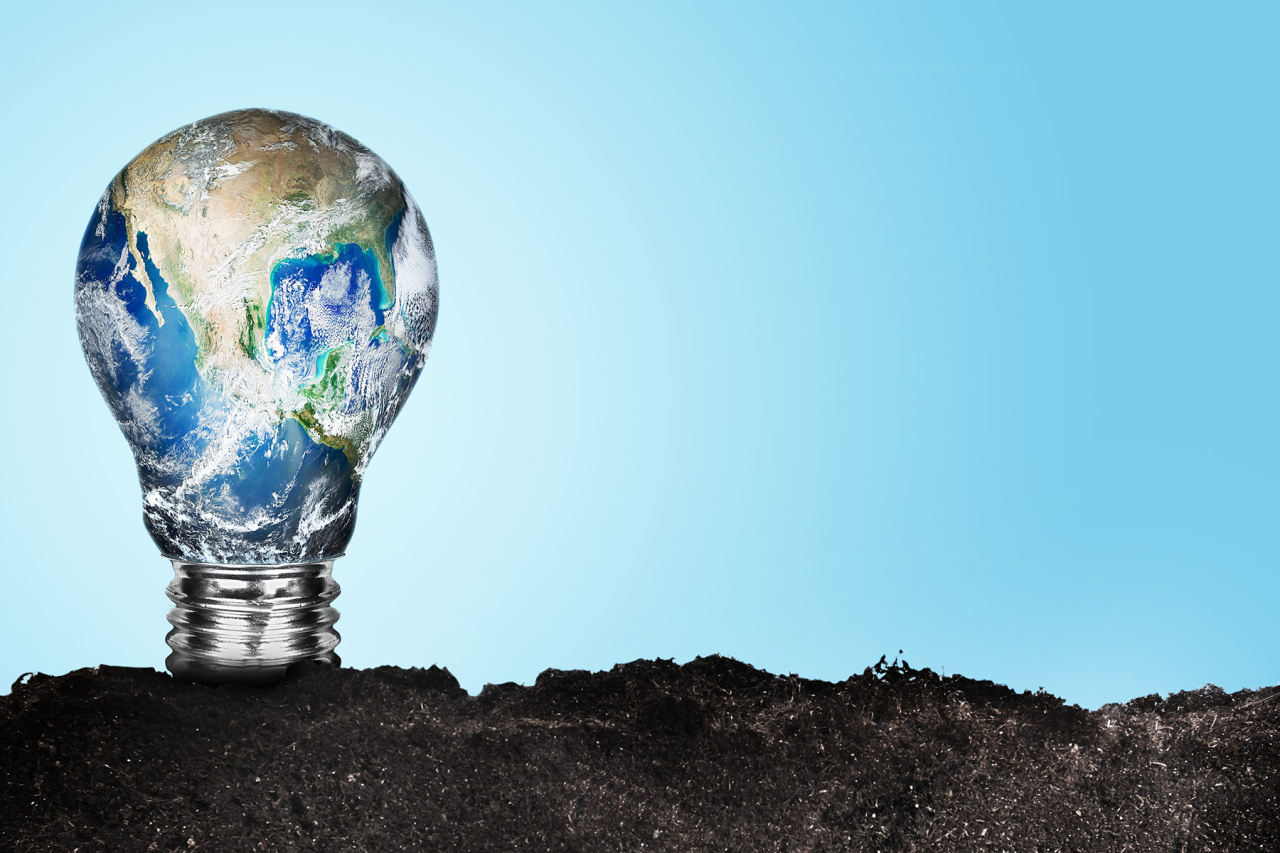 Image d'illustration pour : des arbres fruitiers dans le centre